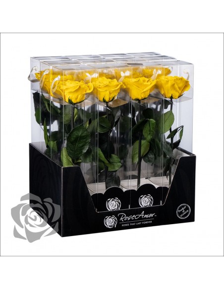 Rosa Preservada Roseamor (XL 7cmØ) Amarilla