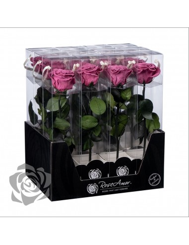 Rosa Preservada Roseamor (XL 7cmØ) Violeta