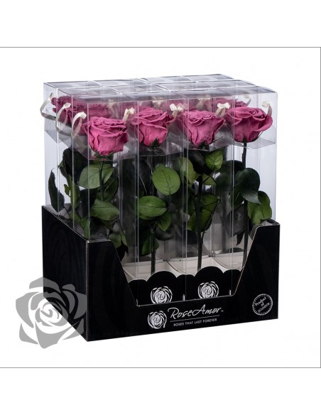 Rosa Preservada Roseamor (XL 7cmØ) Violeta