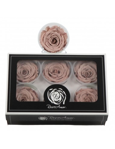 .Rosa Preservada. Chocolate/Rosa LL+ 6,5CMØ X6...