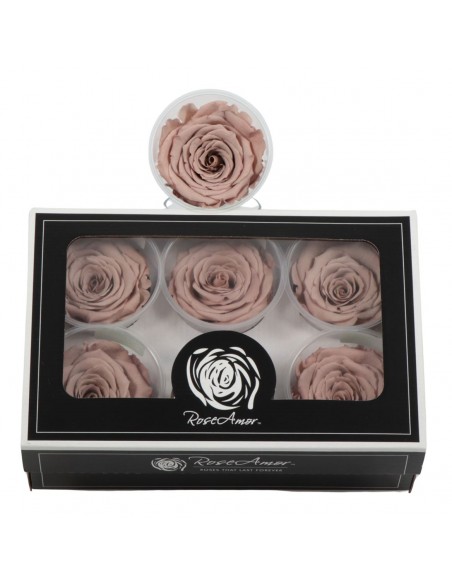 .Rosa Preservada. Chocolate/Rosa LL+ 6,5CMØ X6 Roseamor