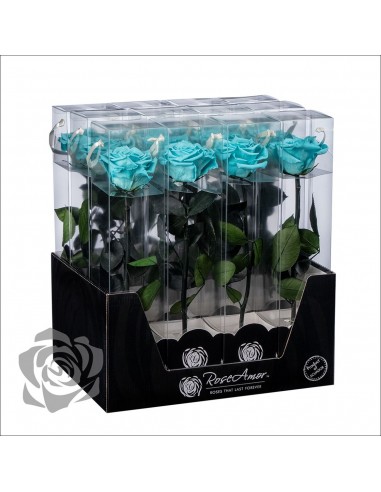 Rosa Preservada Roseamor (XL 7cmØ) Turquesa