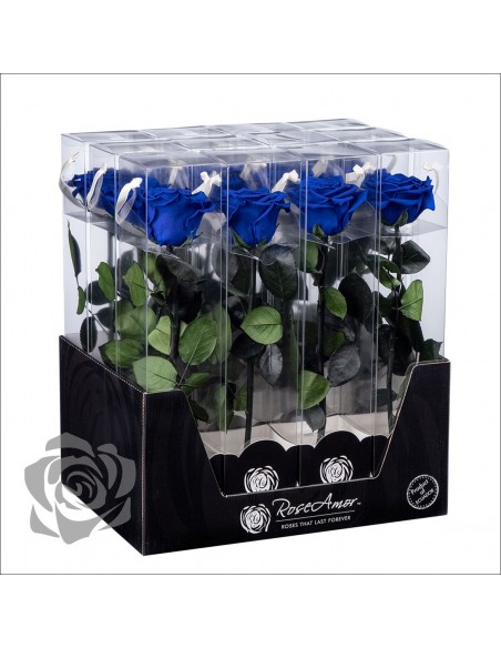 Rosa Preservada Roseamor (XL 7cmØ) Azul