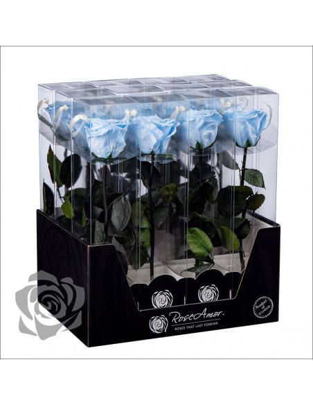 Rosa Preservada Roseamor (XL 7cmØ) Celeste