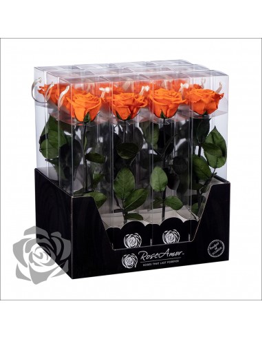 Rosa Preservada Roseamor (XL 7cmØ) Naranja