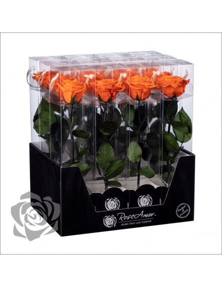 Rosa Preservada Roseamor (XL 7cmØ) Naranja