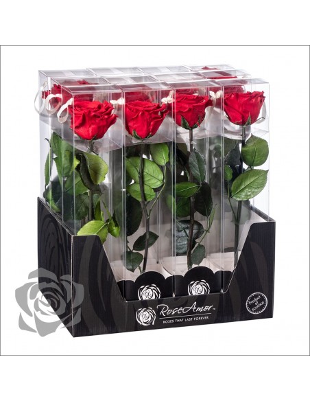 Rosa Preservada Roseamor (XL 7cmØ) Roja