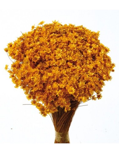 Marcela Amarilla 30cm 50g