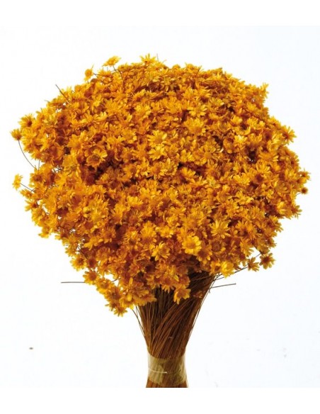 Marcela Amarilla 30cm 50g