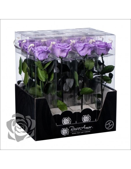 Rosa Preservada Roseamor (XL 7cmØ) Lila