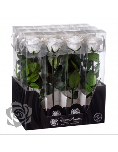 Rosa Preservada Roseamor (XL 7cmØ) Blanca