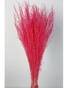 Agrostis 45g Rosa Fuerte