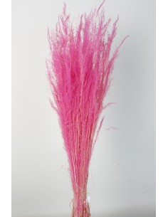 Agrostis 45g Rosa