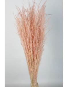 Agrostis 45g Salmón Suave