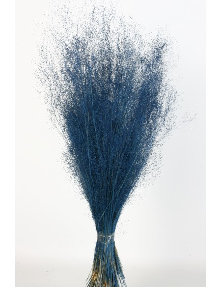 Agrostis 45g Azul