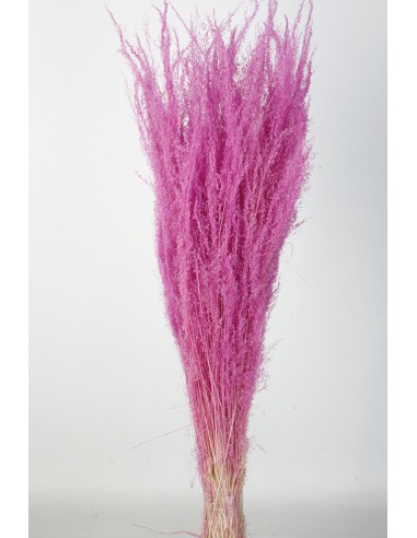 Agrostis 45g Rosa Rosa/fucsia