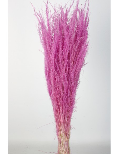 Agrostis 45g Rosa Rosa/fucsia