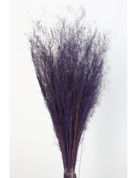 Agrostis 45g Morado