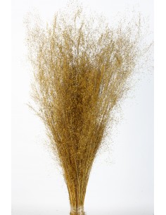 Agrostis 45g Ocre