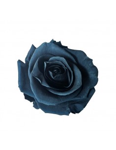 Rosa Estandar x6 uds azul 5,5cm