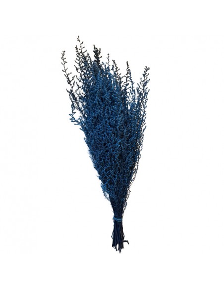 Stoebe preservado Azul (100g)