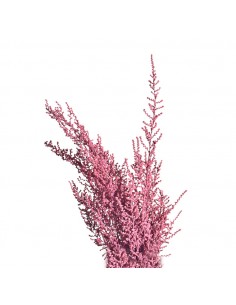 Stoebe preservado Rosa Empolvado (100g)