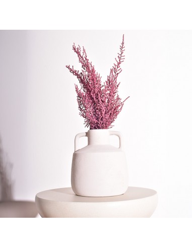 Stoebe preservado Rosa Empolvado (100g)