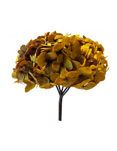 Hortensia Preservada Lila 25cm