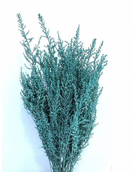 Stoebe preservado Verde Menta (100g)