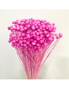 Amarelino color Rosa Fuerte 45cm 120g