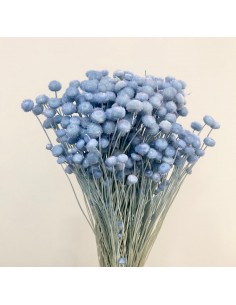 Amarelino color Azul  45cm 120g