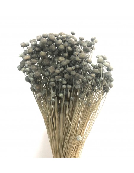 Amarelino color Azul Petroleo 45cm 120g