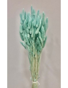 Lagurus Turquesa Suave 100g