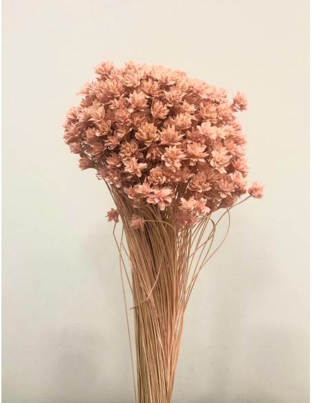 Hill Flowers Rosa Vintage 45cm 100g