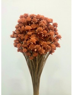 Hill Flowers Naranja Ocre 45cm 100g