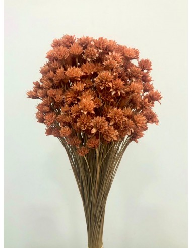 Hill Flowers Teja  45cm 100g