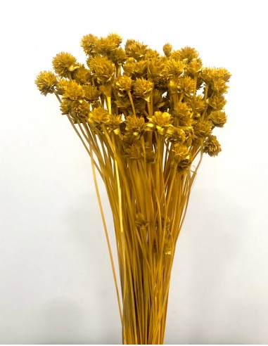 Hill Flowers Mostaza 45cm 100g