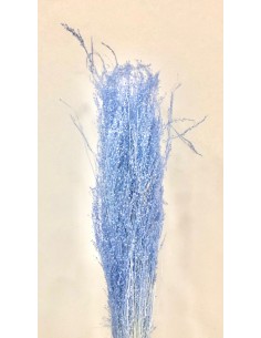 Star Grass Azul Chasmere 60cm 35g