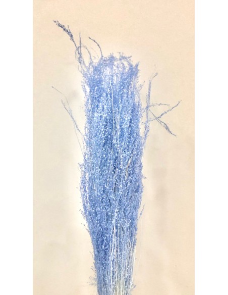 Star Grass Azul Chasmere 60cm 35g