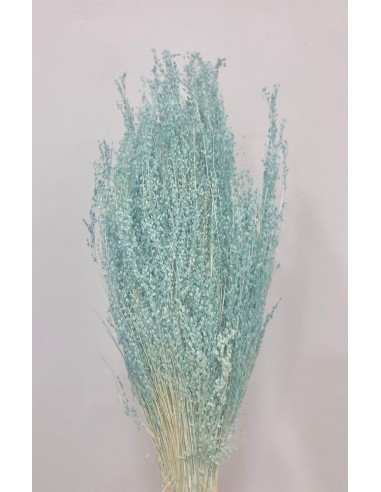 Star Grass Turquesa oscuro 60cm 35g