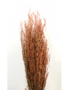 Star Grass Teja 60cm 35g