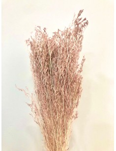 Caspia Preservada Rosa Vintage 70cm