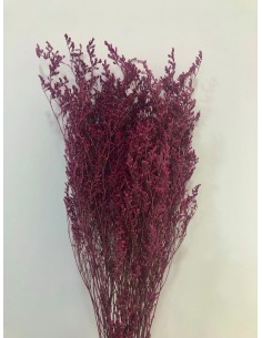 Caspia Preservada Granate Claro 70cm