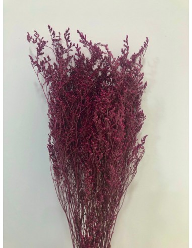 Caspia Preservada Granate Claro 70cm