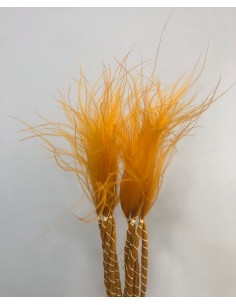 Stypa pennata Naranja/Amarillo Ocre 50cm