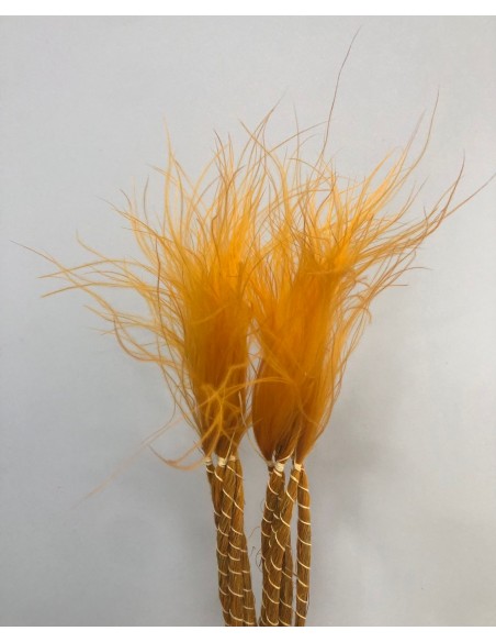 Stypa pennata Naranja Ocre 50cm
