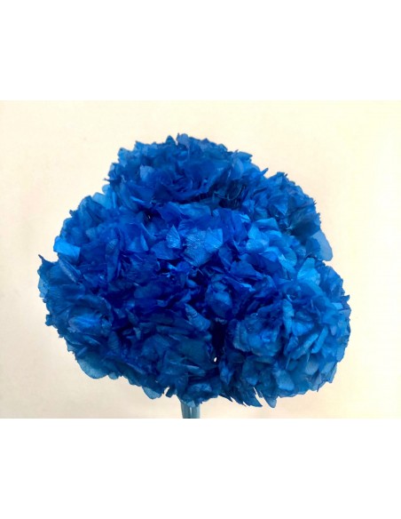Hortensia preservada Azul