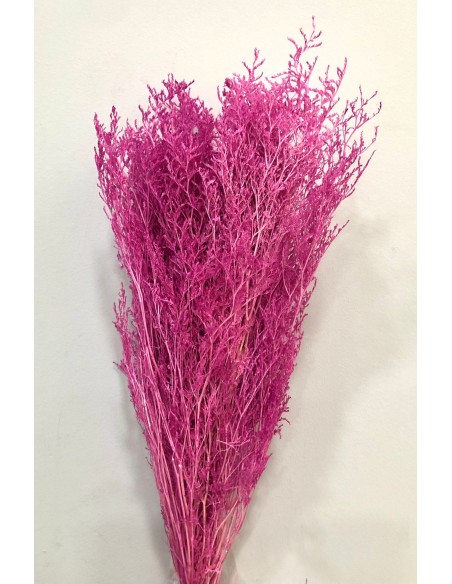 Caspia Preservada Rosa/Malva 70cm