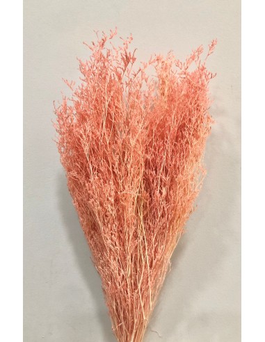 Caspia Preservada Rosa/Salmón 70cm