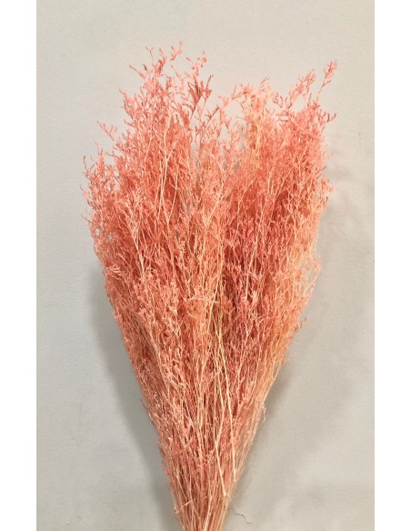 Caspia Preservada Rosa/Salmón 70cm